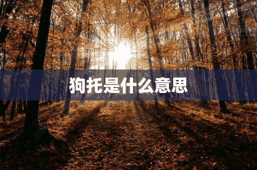 狗托是什么意思(游戏狗托是什么意思)